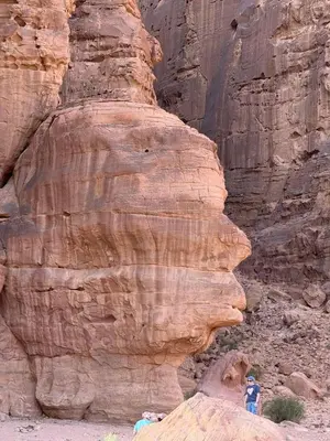 a person standing next to a rock in a canyon at Wadi rum naef camp in Wadi Rum
