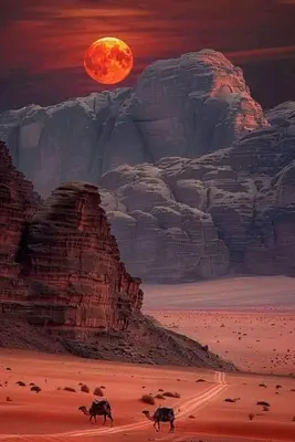 two horses running in the desert under a full moon at ROYAL SAVOY lUXURY CAMP in Wadi Rum