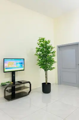 a potted tree in a room with a tv at هوستل خدمه مبيت in Disah