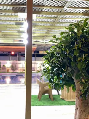 Gallery image of مزرعة اللؤلؤة الريفية in Az Zarqa