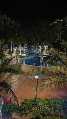 a park with palm trees and a pool at night at Al qaoud apartment in Aydūn