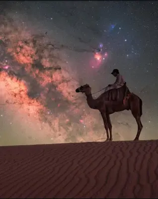 a man riding a camel in the desert at night at Wadi Rum Sila Camp in Wadi Rum