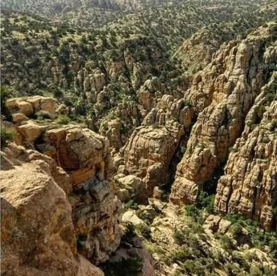 a view of a rocky mountain with trees and bushes at Camping Guide in Dana