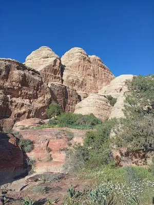 a group of rocky mountains with bushes and trees at Camping Guide in Dana