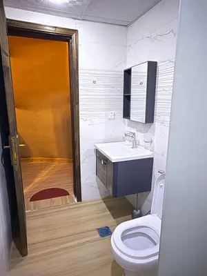 a bathroom with a toilet and a sink at Eileen wadi rum camp in Wadi Rum