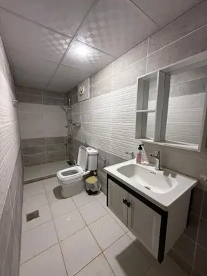a bathroom with a sink and a toilet at Eileen wadi rum camp in Wadi Rum