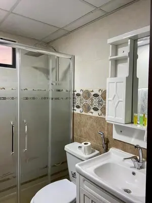 a bathroom with a shower and a toilet and a sink at moon and sky camp in Wadi Rum