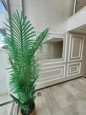 a palm tree in front of a building at Cozy Appartment In Shmessani in Amman