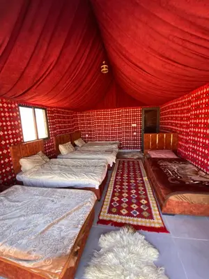 a room with four beds and a red wall at Wadi Rum Nights Tents in Wadi Rum