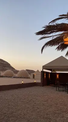 a view of a desert with tents and a palm tree at عماد رم in Wadi Rum