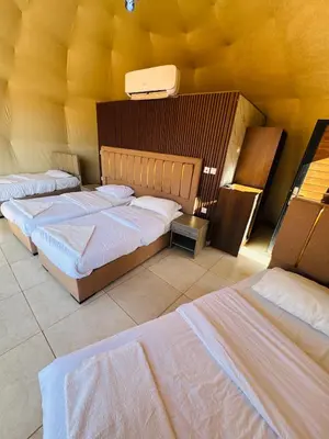 a group of three beds in a room at Rum Dreamland luxury camp in Wadi Rum