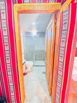 a bathroom with a shower and a toilet in a room at Rum Dreamland luxury camp in Wadi Rum