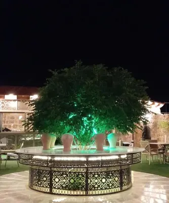 a green tree sitting on top of a table at The modern village in ‘Ayn Amūn