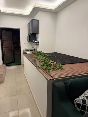 a kitchen with a counter top in a room at RoofTOP SPORTCITY in Amman