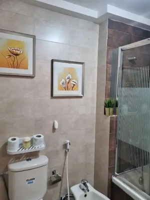 a bathroom with a toilet and a sink at Elegant 2 bedrooms in 4th circle-Diplomatic Area in Amman
