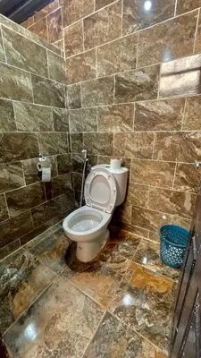a bathroom with a toilet in a stone wall at Wadi Rum Bedoun in Wadi Rum