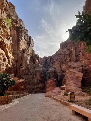 a dirt road in a canyon with a mountain at Nadina Bedouin home in Petra