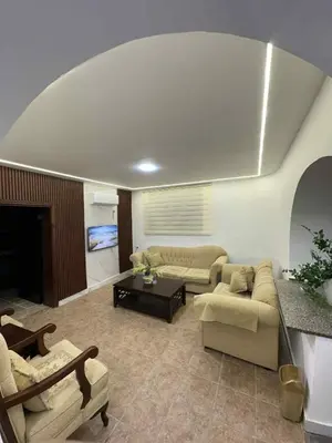 a living room with two couches and a fireplace at Amman Jordan جبل عمان الدوار الاول in Ash Shumaysānī