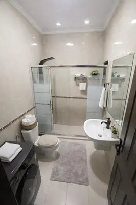a bathroom with a shower and a toilet and a sink at Cozy Studio Gardens St Neighborhood in Amman