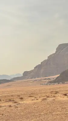 a desert with a herd of animals in the distance at Wadi Ram camp in Disah