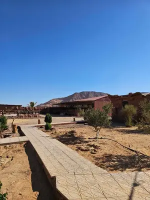 a path in the middle of a desert with a building at Amjad Rum Camp in Disah