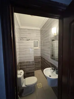 a bathroom with a toilet and a sink at 2bedroom-2bathroom-furniture in Amman