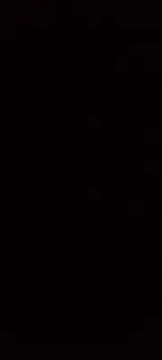 a dark room with a black background at Bright Stars Camp in Disah