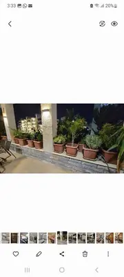 a row of potted plants sitting on a ledge at Lavender Résidence 102 in Amman