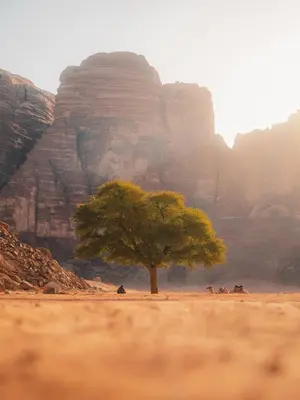 a tree in the middle of a desert with a mountain at Wadi Rum Moon Light in Wadi Rum