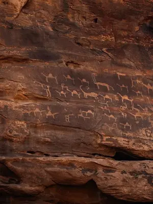 ancient writing on the side of a tree trunk at Wadi Rum Moon Light in Wadi Rum