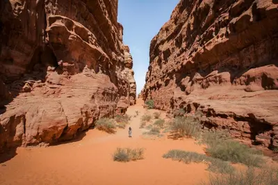 a person walking through a canyon in the desert at Rum Cave Tours in Wadi Rum
