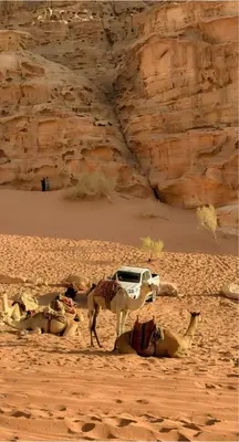 a camel and a car in the desert at Mohammad rum camp in Disah