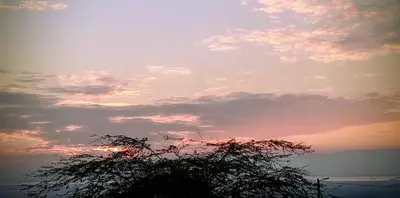 a sunset with a tree in the foreground at Panoramic GUESTHOUSE - OUM ALI in Aş Şāfī