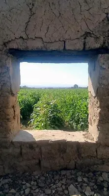 a window in a stone wall looking out at a field at Panoramic GUESTHOUSE - OUM ALI in Aş Şāfī