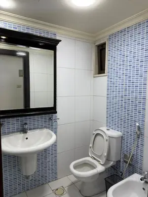 a bathroom with a toilet and a sink and a mirror at Deir Ghbar apartment 116 in Amman