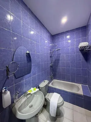 a blue tiled bathroom with a toilet and a tub at شقق سلين الفندقية in Amman
