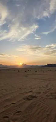 a sunset in the desert with animals in the distance at RUM FIRAS lUXURY CAMP in Wadi Rum