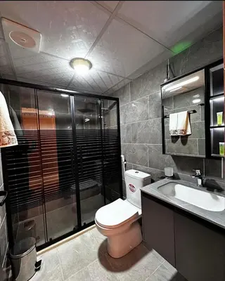 a bathroom with a toilet and a sink and a shower at Nebula Rum Camp in Wadi Rum