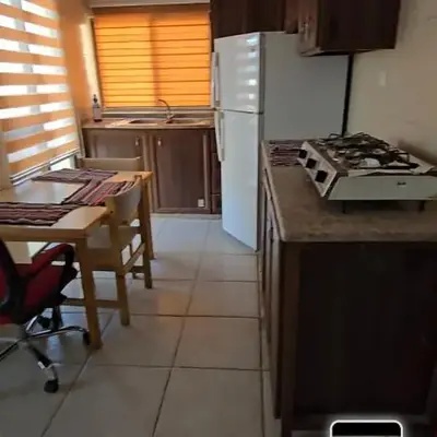 عبدالرحمن الشطناوي2
