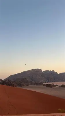 a bird flying over a desert with mountains in the background at Wadi Rum Royal Camp in Disah