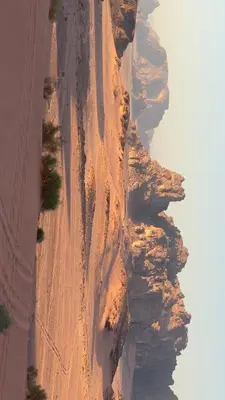 an aerial view of a dirt road in the desert at Wadi Rum Royal Camp in Disah