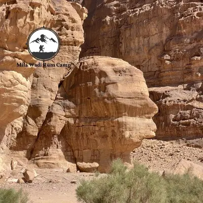 a rock formation with a picture of a camel on it at Mila Wadi Rum Camp in Wadi Rum