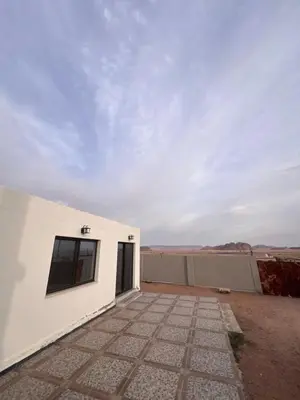 a white building with a window and a sky at Local experience in El Quweira