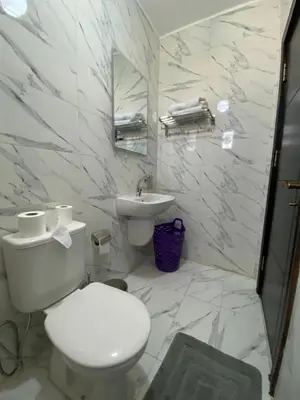 a white bathroom with a toilet and a sink at Travelers Choice Apartment Near Petra in Wadi Musa