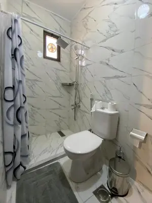 a white bathroom with a toilet and a shower curtain at Travelers Choice Apartment Near Petra in Wadi Musa