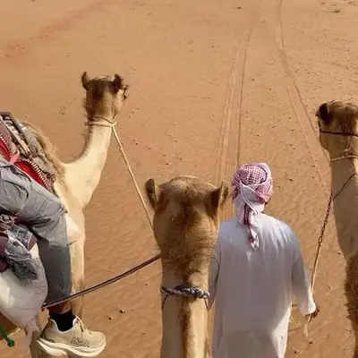 Camel Riding in Wadi Rum