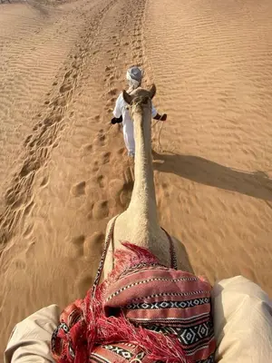 a camel walking in the desert at Camel riding trip in Disah