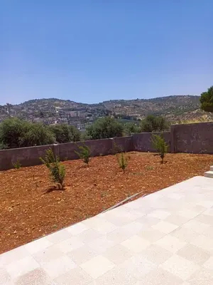 a garden with some plants in the dirt at الاردن جرش سوف in Jerash
