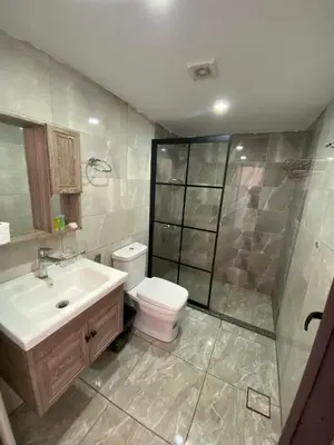a bathroom with a toilet and a sink and a shower at Echo of the Sands in Wadi Rum