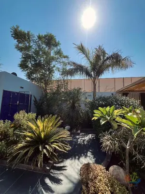 a garden with palm trees and plants in front of a building at Mirabella Villa in Al Rama